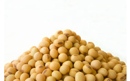 Homepage_articles_thumb_soy-beans